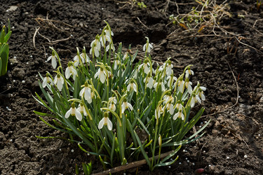 Similar image 21050627