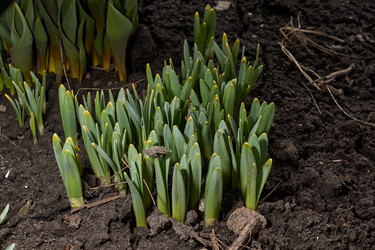 Similar image 21050628