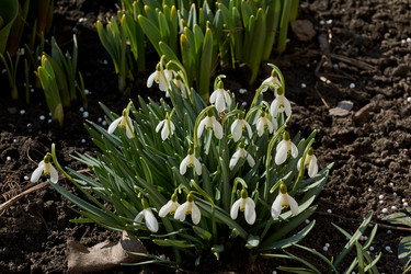 Similar image 21050629