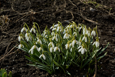 Similar image 21050630