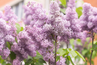 Similar image 21050563