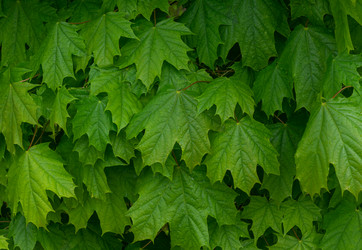 Similar image 21050564