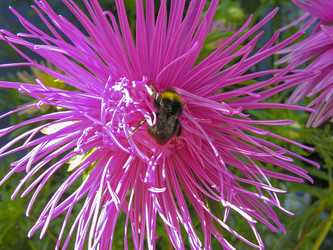 Similar image 21050431