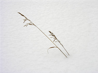 Similar image 21050432