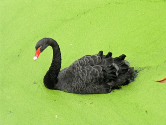 Similar image 21050434