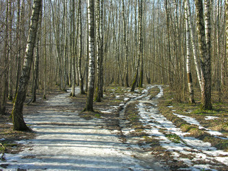 Similar image 21050435