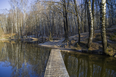 Similar image 21050436