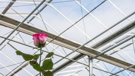 Similar image 21050866