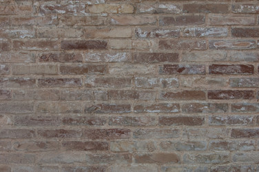 Similar image 21050884