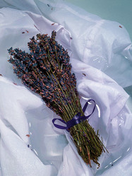 Similar image 21050925