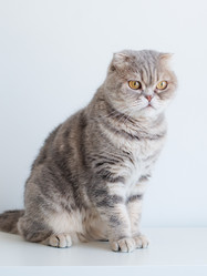 Similar image 21050667