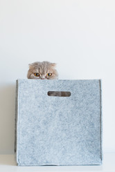 Similar image 21050670