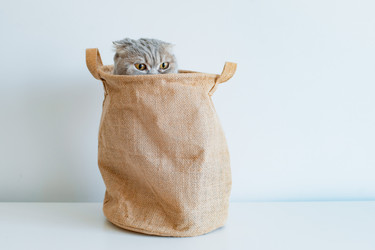 Similar image 21050673