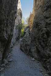 Similar image 21050737