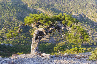 Similar image 21050738