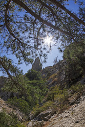 Similar image 21050742