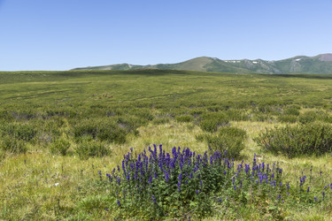 Similar image 21050745