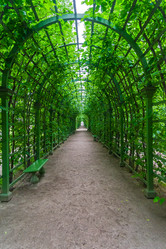 Similar image 21050768