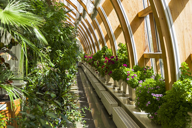 Similar image 21050771