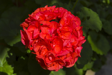 Similar image 21050774