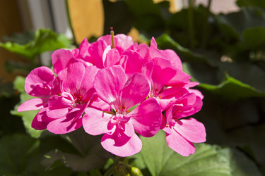 Similar image 21050775