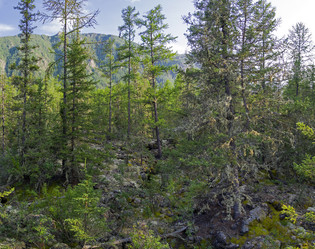 Similar image 21050777