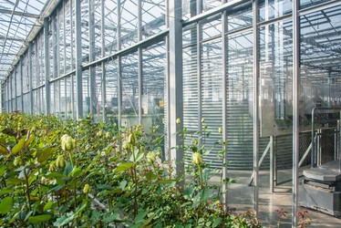 Similar image 21050964