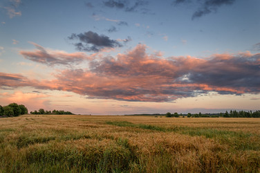 Similar image 21053682