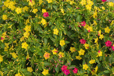 Similar image 21050983