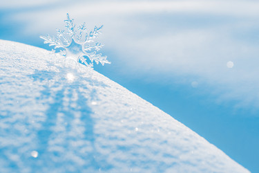 Similar image 21057753