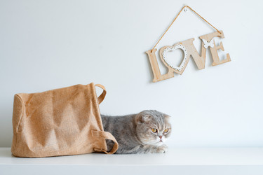 Similar image 21059199