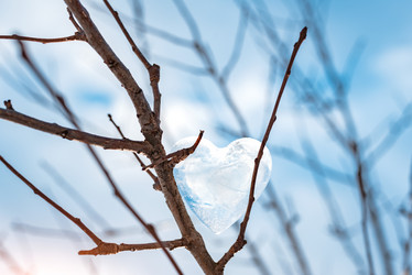 Similar image 21059201