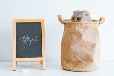 Similar image 21059202