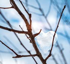 Similar image 21059203