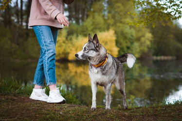 Similar image 21051207