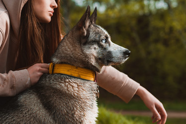 Similar image 21054782