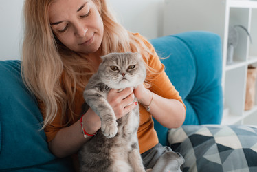 Similar image 21054785