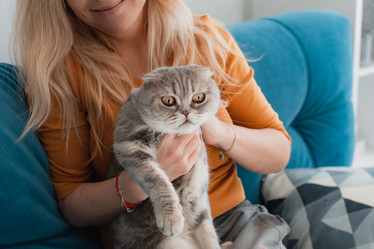 Similar image 21054787