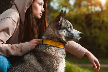 Similar image 21054791