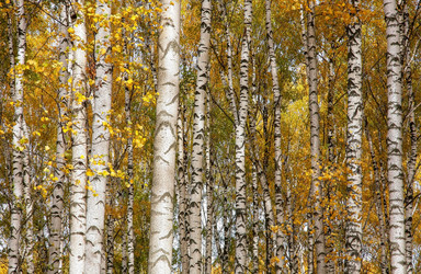 Similar image 21051209