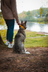 Similar image 21054794