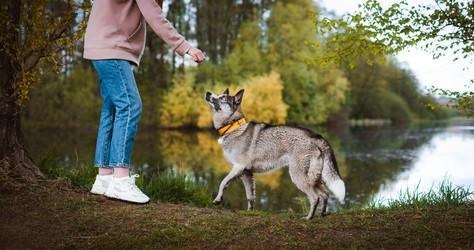 Similar image 21054796