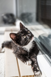 Similar image 21054877