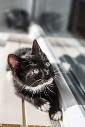 Similar image 21054878