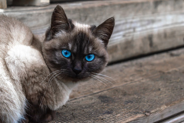 Similar image 21062639