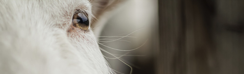 Similar image 21062646