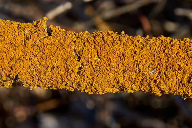 Similar image 21063124