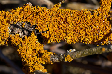 Similar image 21050987