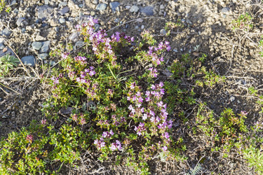 Similar image 21054707