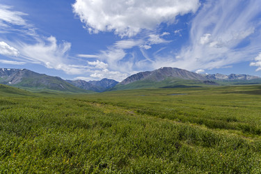 Similar image 21054709